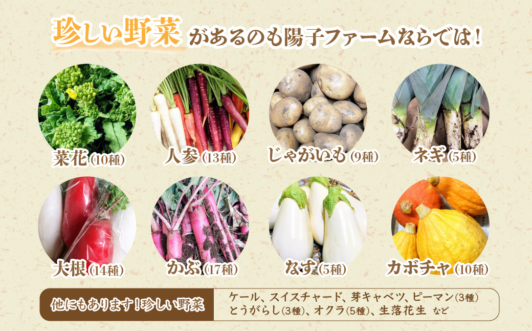 ＜12ヵ月定期便＞旬の野菜詰め合わせ7種~8種 | 野菜 定期便 季節の野菜 旬の野菜 新鮮野菜 産地直送 栽培期間中農薬不使用 有機 オーガニック フレッシュ セット 詰め合わせ サラダ 料理 炒め物 煮物 スムージー 旬 おいしい 安全 安心 お取り寄せ ギフト おすすめ 3回 6回 12回 世界農業遺産 埼玉県 所沢市