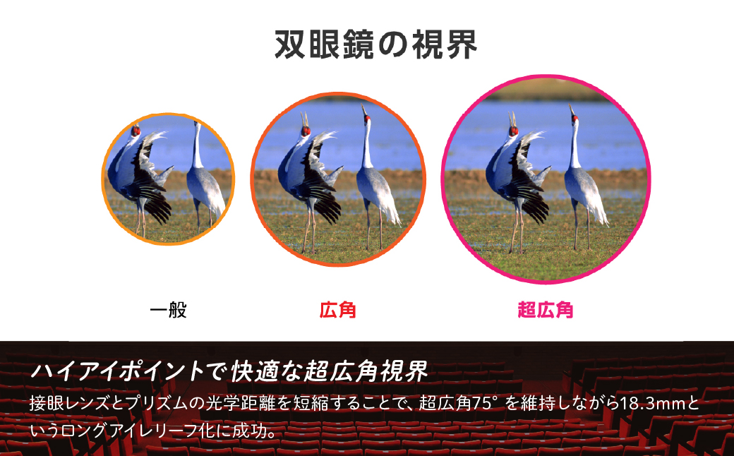 双眼鏡 ビクセン SW8×25WP スーパーワイド | Vixen 双眼鏡 正規品 軽量 コンパクト 防水 超広角 ハイアイポイント 天体観測 ライブ コンサート スポーツ観戦 野鳥観察 バードウォッチング スターウォッチング 株式会社ビクセン 埼玉県 所沢市