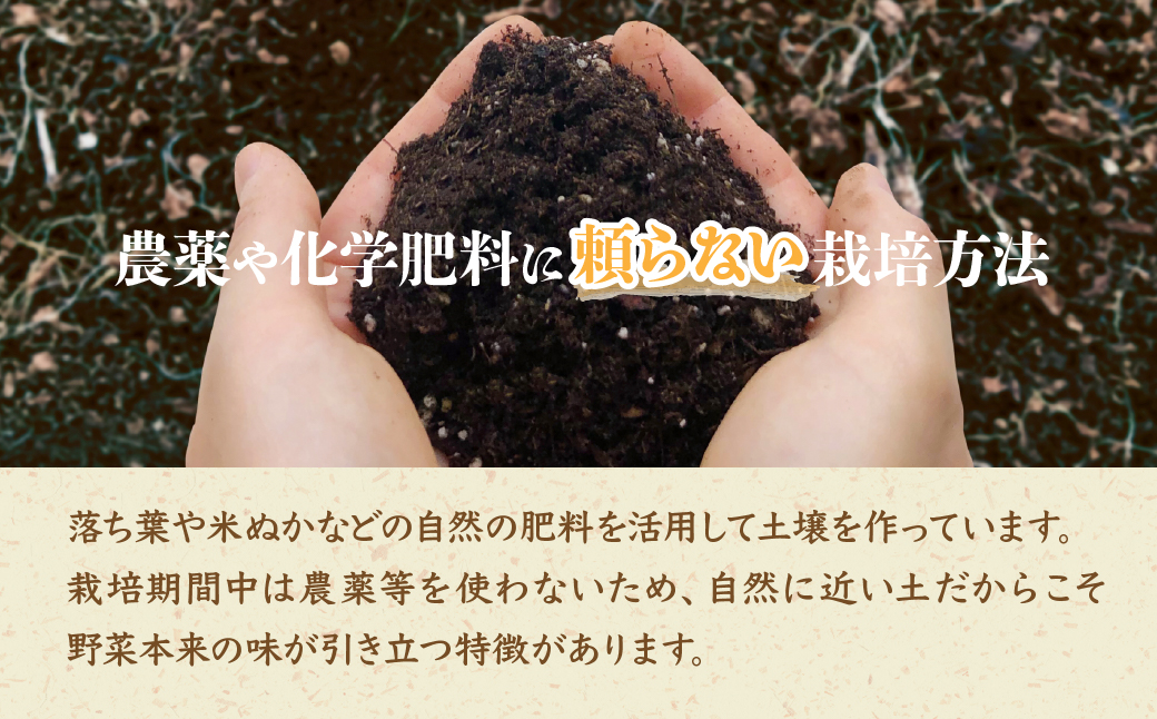 ＜12ヵ月定期便＞旬の野菜詰め合わせ7種~8種 | 野菜 定期便 季節の野菜 旬の野菜 新鮮野菜 産地直送 栽培期間中農薬不使用 有機 オーガニック フレッシュ セット 詰め合わせ サラダ 料理 炒め物 煮物 スムージー 旬 おいしい 安全 安心 お取り寄せ ギフト おすすめ 3回 6回 12回 世界農業遺産 埼玉県 所沢市