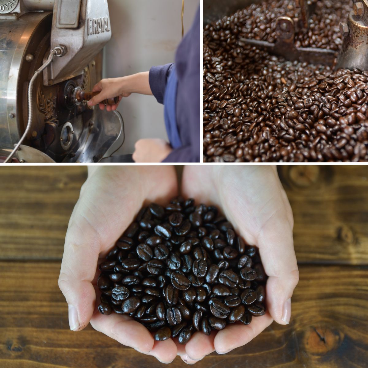 所沢の森ブレンド 中深煎り ドリップバッグ 10袋 山田珈琲豆焙煎所 | コーヒー 珈琲 焙煎 ドリップバッグ アウトドア ブレンド ネゴンボ 埼玉県 所沢市