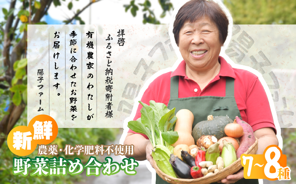 旬の野菜詰め合わせ7種~8種 | 野菜 季節の野菜 旬の野菜 新鮮野菜 産地直送 栽培期間中農薬不使用 有機 オーガニック フレッシュ セット 詰め合わせ サラダ 料理 炒め物 煮物 スムージー 旬 おいしい 安全 安心 お取り寄せ ギフト おすすめ 世界農業遺産 埼玉県 所沢市