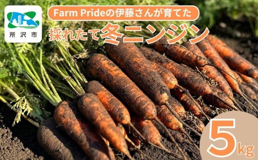 Farm Prideが育てた採れたての絶品！冬ニンジン 彩誉(あやほまれ) 5kg | 人参 にんじん ニンジン キャロット あやほまれ 野菜 緑黄色野菜 サラダ マリネ スムージー スティック 料理 煮物 カレー シチュー ジュース カロテン ビタミン 産地直送 おいしい おすすめ  新鮮 フレッシュ 埼玉県 所沢市