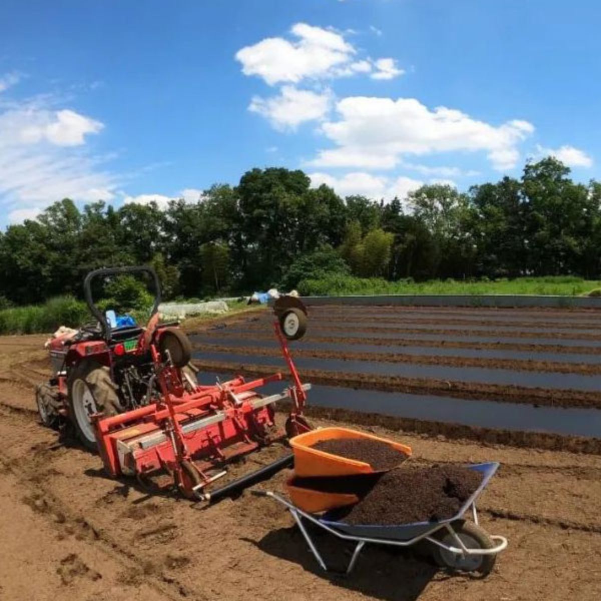 ＜3ヵ月定期便＞野菜 詰め合わせ (7〜8種) | 野菜 野菜詰合せ 野菜セット 詰め合わせ 詰合せ セット おいしい おすすめ プレゼント ギフト お取り寄せ オーガニックファーム所沢農人 埼玉県 所沢市