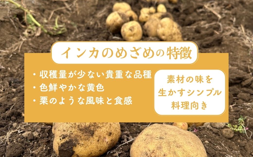 【訳あり】Farm Prideが育てた じゃがいも インカのめざめ 5kg | じゃがいも インカのめざめ 野菜 料理 サラダ ポテトサラダ 素揚げ ポテトチップス 産地直送 株式会社farmpride 埼玉県 所沢市