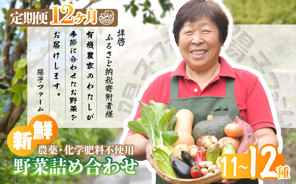 ＜12ヵ月定期便＞旬の野菜詰め合わせ11種~12種 | 野菜 定期便 季節の野菜 旬の野菜 新鮮野菜 産地直送 栽培期間中農薬不使用 有機 オーガニック フレッシュ セット 詰め合わせ サラダ 料理 炒め物 煮物 スムージー 旬 おいしい 安全 安心 お取り寄せ ギフト おすすめ 3回 6回 12回 世界農業遺産 埼玉県 所沢市