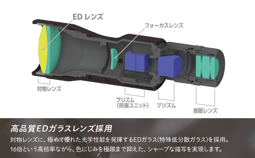髦イ謖ッ蜿檎愍髀。 繝薙け繧サ繝ウ 繧「繝繝ゥ ATERAII EDH16x50WP (繝悶Λ繝繧ッ繝悶Λ繧ヲ繝ウ) | Vixen 蜿檎愍髀。 豁」隕丞刀 霆ス驥 繧ウ繝ウ繝代け繝 髦イ豌エ 螟ゥ菴楢ヲウ貂ャ 繝ゥ繧、繝 繧ウ繝ウ繧オ繝シ繝 繧ケ繝昴シ繝隕ウ謌ヲ 驥朱ウ・隕ウ蟇 繝舌シ繝峨え繧ゥ繝繝√Φ繧ー 繧ケ繧ソ繝シ繧ヲ繧ゥ繝繝√Φ繧ー 譬ェ蠑丈シ夂、セ繝薙け繧サ繝ウ 蝓シ邇臥恁 謇豐「蟶