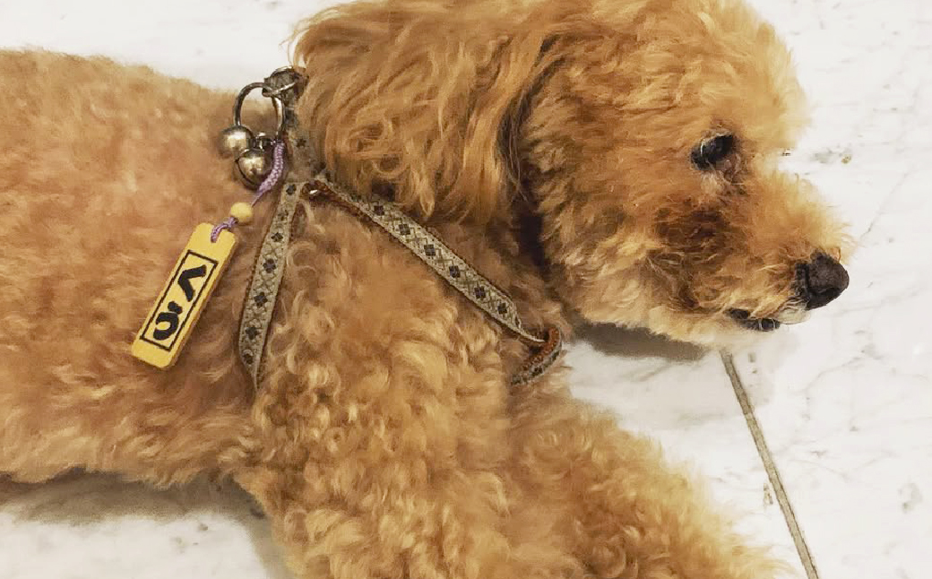 åå
¥ã æŒææžãæ (黿ª) 倧 | æšæ æš æ ææžã ã¹ãã©ãã ããŒãã«ã㌠ããŒã ã¿ã° ç¥ã ç¥ ãŸã€ã ç¥èŒ¿ ã¿ãã ãããã é»å£ æŒ ããã ç± å æ±æž æ±æžæå ç± å ãã¬ãŒã³ã ã®ãã èŽç èšå¿µå å¯èŽå äººæ° ãããã æ±æžæåã æ¡åºµ åŒçç ææ²¢åž