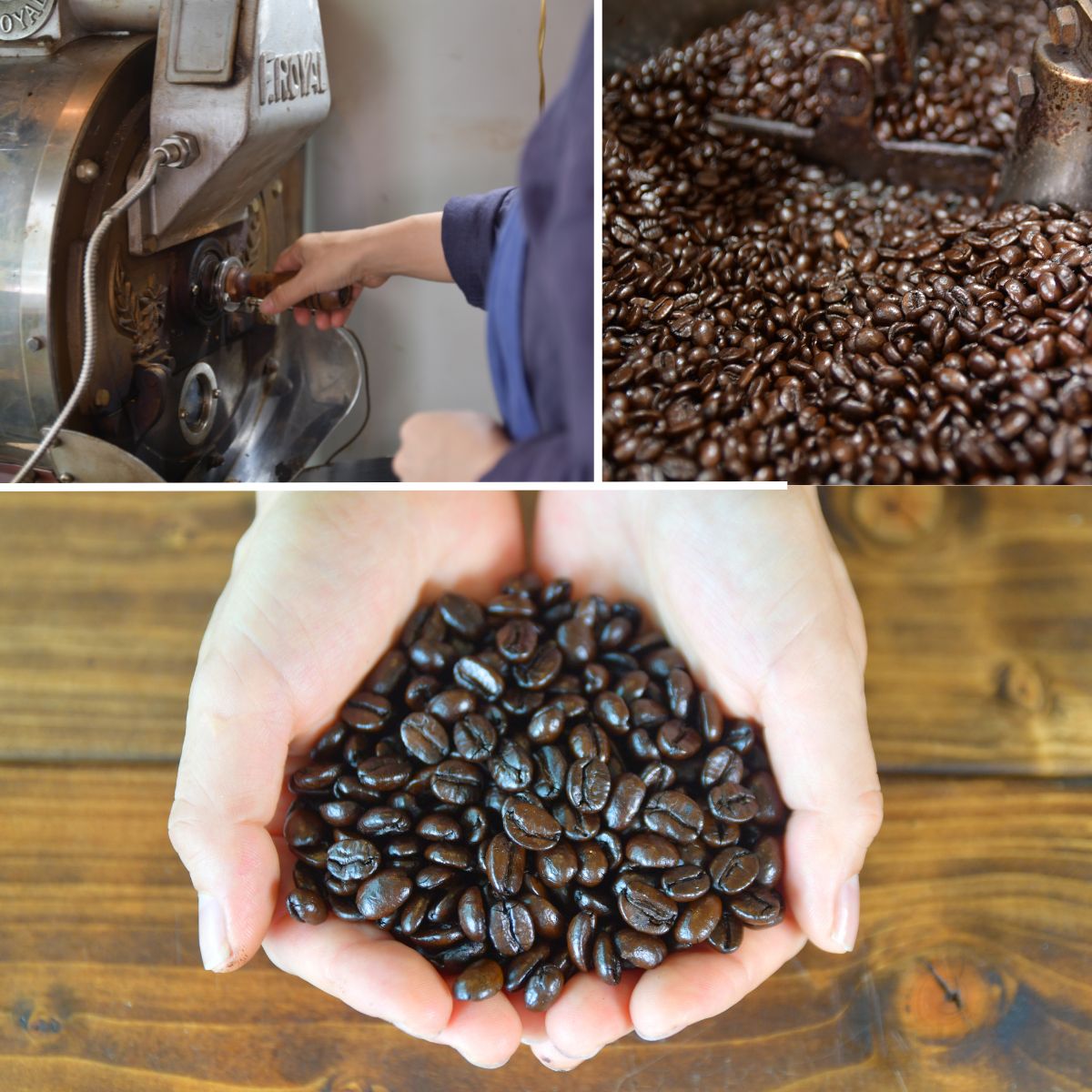 ドリップバッグコーヒー デカフェ メキシコ カフェインレス 50袋 | コーヒー 珈琲 焙煎 ドリップバッグ アウトドア カフェインレス 山田珈琲豆焙煎所 ネゴンボ 埼玉県 所沢市