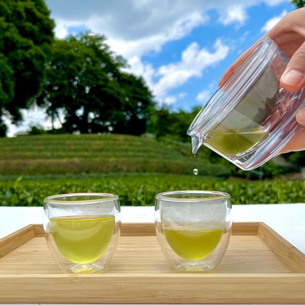 狭山茶 所沢ぐり茶 蕾(つぼみ) 3袋セット | 茶 お茶 日本茶 緑茶 玉緑茶 ぐり茶 茶葉 濃厚 コク 香り 風味 まろやか 美味しい おすすめ ギフト お土産 プレゼント  コンテスト 華やか 埼玉県 所沢市