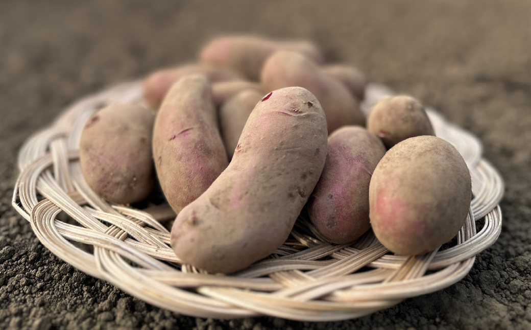 ＜定期便＞Farm Prideが育てた旬の野菜定期便 計5回 | 人参 にんじん ニンジン キャロット じゃがいも キタアカリ インカのめざめ ノーザンルビー 里芋 枝豆 野菜 緑黄色野菜 サラダ マリネ スムージー スティック 料理 煮物 カレー シチュー ジュース カロテン ビタミン 産地直送 おいしい おすすめ 埼玉県 所沢市