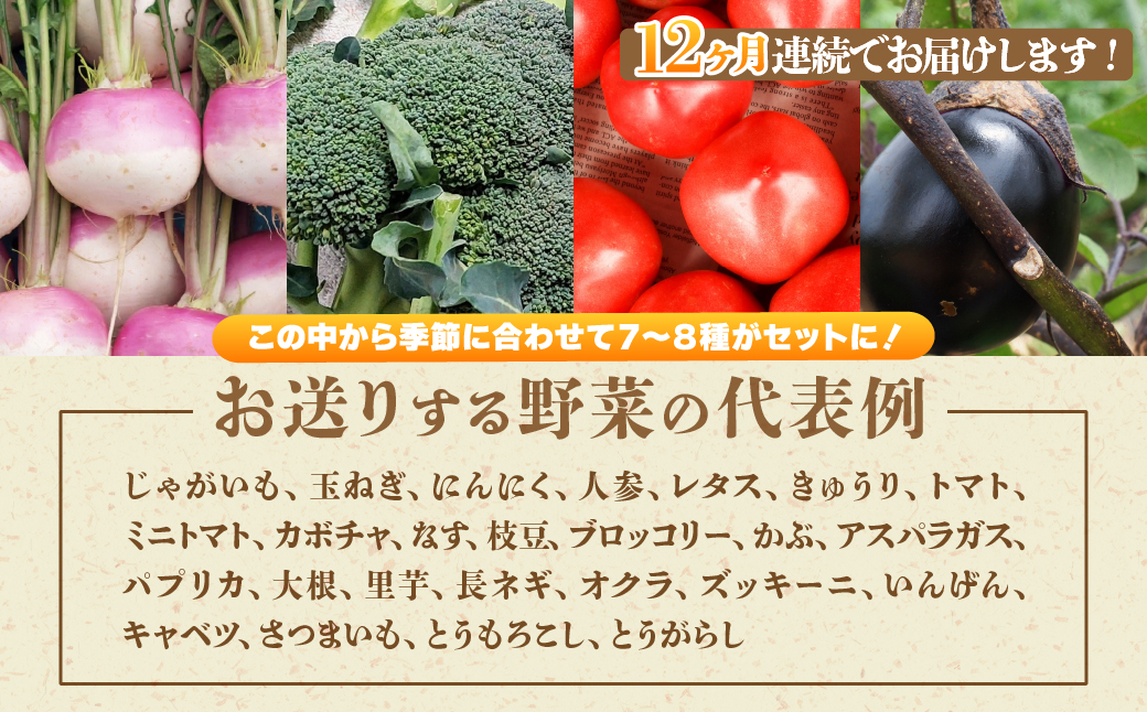 ＜12ヵ月定期便＞旬の野菜詰め合わせ7種~8種 | 野菜 定期便 季節の野菜 旬の野菜 新鮮野菜 産地直送 栽培期間中農薬不使用 有機 オーガニック フレッシュ セット 詰め合わせ サラダ 料理 炒め物 煮物 スムージー 旬 おいしい 安全 安心 お取り寄せ ギフト おすすめ 3回 6回 12回 世界農業遺産 埼玉県 所沢市