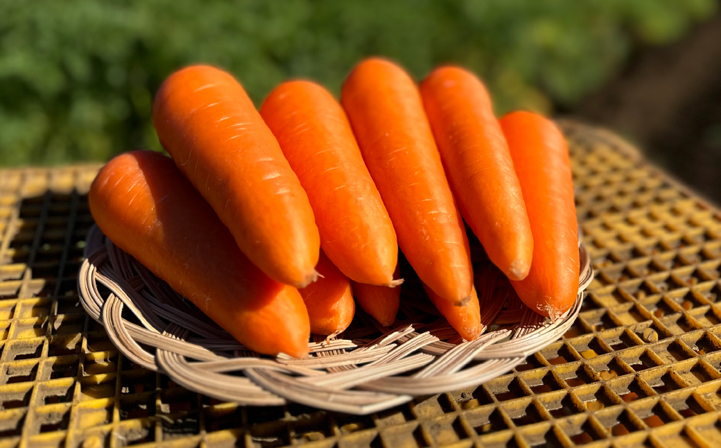 ＜定期便＞Farm Prideが育てた旬の野菜定期便 計5回 | 人参 にんじん ニンジン キャロット じゃがいも キタアカリ インカのめざめ ノーザンルビー 里芋 枝豆 野菜 緑黄色野菜 サラダ マリネ スムージー スティック 料理 煮物 カレー シチュー ジュース カロテン ビタミン 産地直送 おいしい おすすめ 埼玉県 所沢市