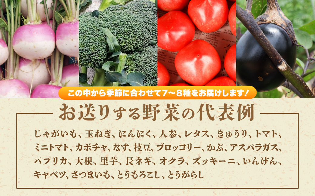 æ¬ã®éèè©°ãåãã7çš®~8çš® | éè å£ç¯ã®éè æ¬ã®éè æ°é®®éè ç£å°çŽé æ œå¹æéäžèŸ²è¬äžäœ¿çš ææ© ãªãŒã¬ãã㯠ãã¬ãã·ã¥ ã»ãã è©°ãåãã ãµã©ã æç çãç© ç
®ç© ã¹ã ãŒãžãŒ æ¬ ãããã å®å
š å®å¿ ãåãå¯ã ã®ãã ãããã äžç蟲æ¥éºç£ åŒçç ææ²¢åž