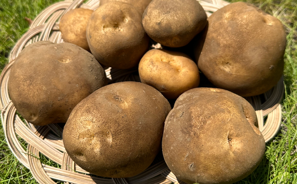 ＜定期便＞Farm Prideが育てた旬の野菜定期便 計5回 | 人参 にんじん ニンジン キャロット じゃがいも キタアカリ インカのめざめ ノーザンルビー 里芋 枝豆 野菜 緑黄色野菜 サラダ マリネ スムージー スティック 料理 煮物 カレー シチュー ジュース カロテン ビタミン 産地直送 おいしい おすすめ 埼玉県 所沢市