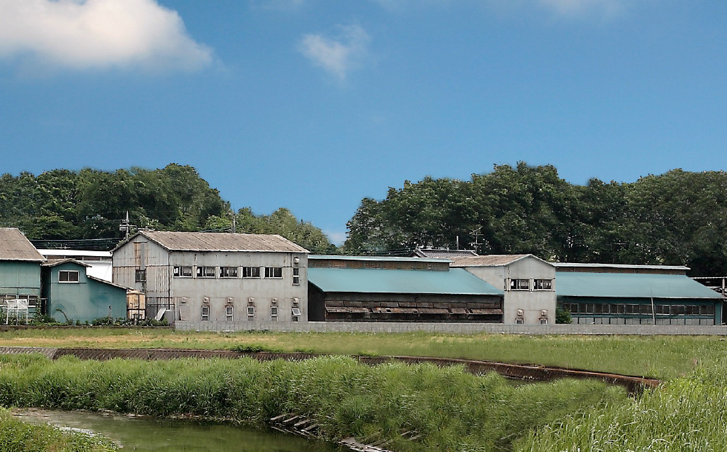 繝輔ぅ繝翫Φ繧キ繧ァ 縺縺壹i縺ョ蜊オ繧剃スソ逕ィ縺励◆繝輔ぅ繝翫Φ繧キ繧ァ 8蛟 | 繝輔ぅ繝翫Φ繧キ繧ァ 蜊オ 縺縺壹i 縺縺壹i縺ョ蜊オ 縺願藷蟄 辟シ縺崎藷蟄 豢玖藷蟄 繧ケ繧、繝シ繝 繝繧カ繝シ繝 縺翫d縺、 謚ケ闌カ 繧ォ繧ォ繧ェ 縺サ縺縺倩幻 縺翫>縺励> 縺翫☆縺吶a 縺雁悄逕」 繧ョ繝輔ヨ 雍育ュ泌刀 縺縺壹i螻 蝓シ邇臥恁 謇豐「蟶