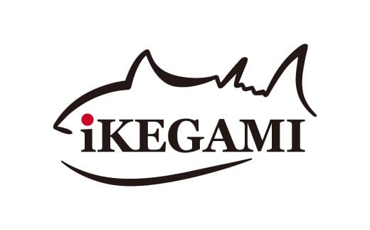 釣り糸 ナイロンライン『忍者』500m (4号) 16Lb 透明 | 釣り 釣り具 糸 ナイロン 海釣り 川釣り ブラックバス バス バス釣り スピニング ベイト リール トラウト プロ 初心者 フッ素加工 レジャー アウトドア 人気 おすすめ 池上化工 埼玉県 所沢市