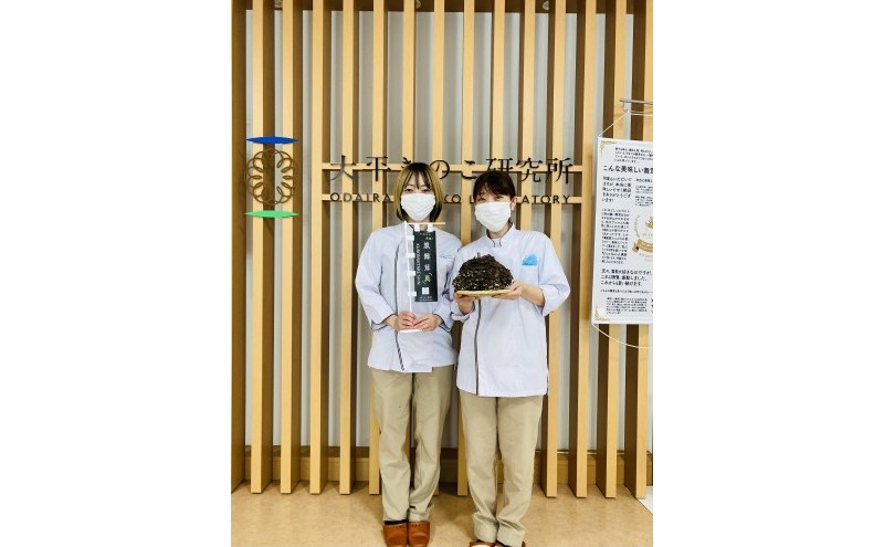 黒舞茸「真」 1kg[52210652] きのこ マイタケ 