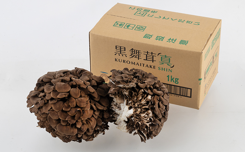 黒舞茸「真」 1kg[52210652]