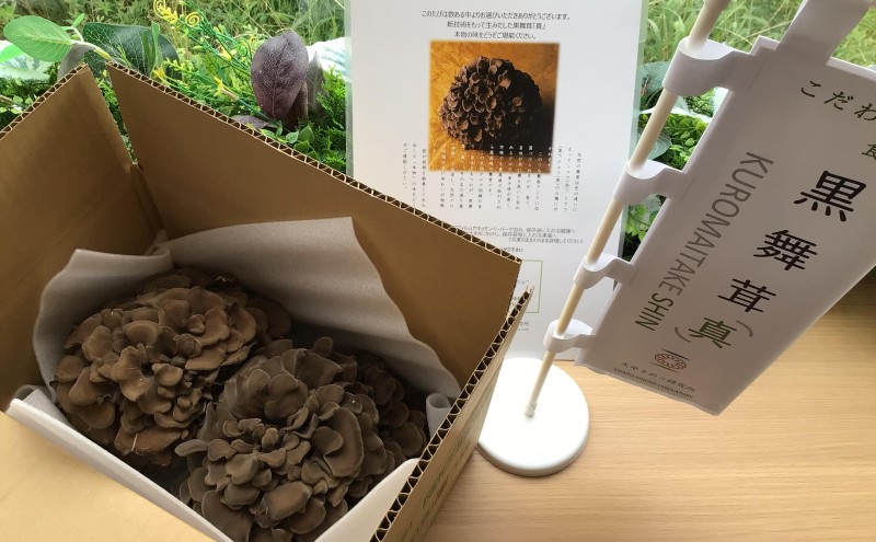黒舞茸「真」 1kg[52210652] きのこ マイタケ 