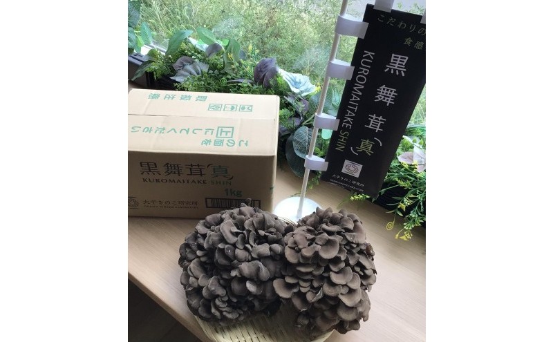 黒舞茸「真」 1kg[52210652] きのこ マイタケ 