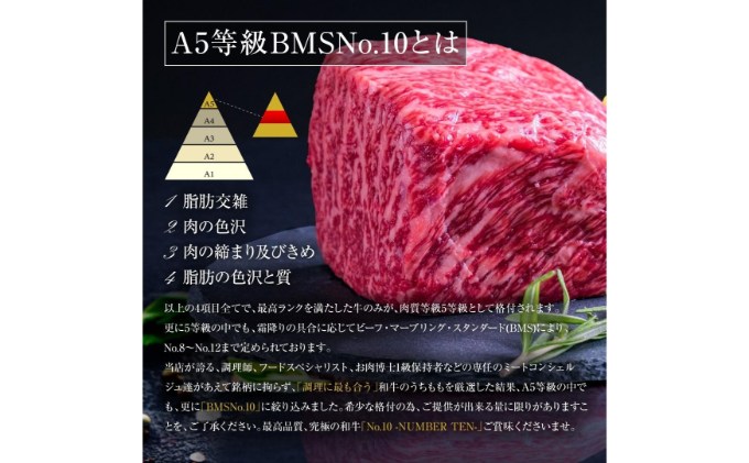 A5等級 BMSNo.10限定 黒毛和牛もも塊肉 ブロック 1kgセット[52210701]