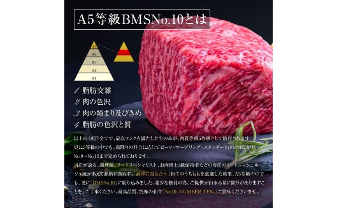 A5等級 BMSNo.10限定 黒毛和牛もも塊肉 ブロック 500g[52210700]