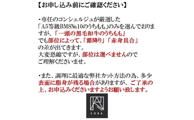 A5等級 BMSNo.10限定 黒毛和牛もも塊肉 ブロック 500g[52210700]