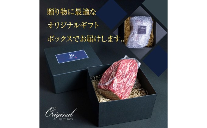 A5等級 BMSNo.10限定 黒毛和牛もも塊肉 ブロック 500g[52210700]