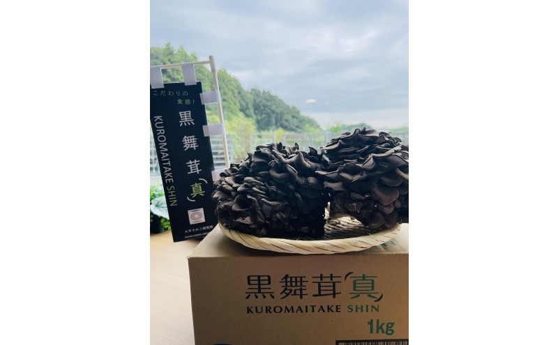 黒舞茸「真」 1kg[52210652] きのこ マイタケ 