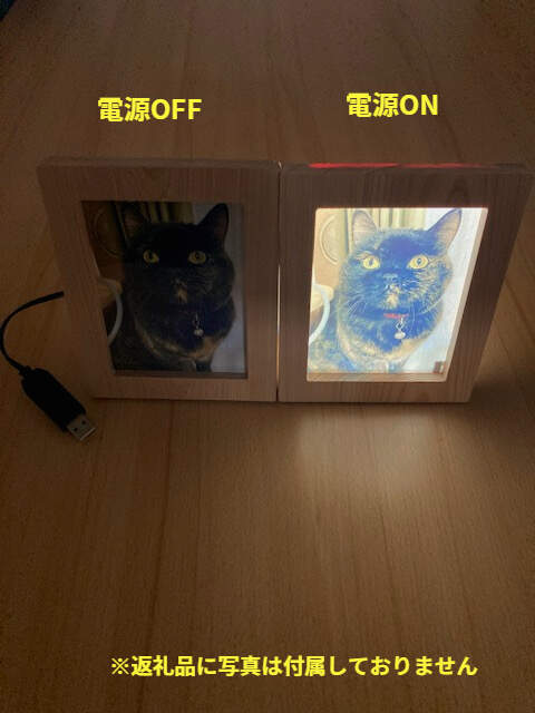 写光Shapica（シャピカ）Lサイズ　西川材フレーム 　1枚板タイプ　USB接続 [52210979]