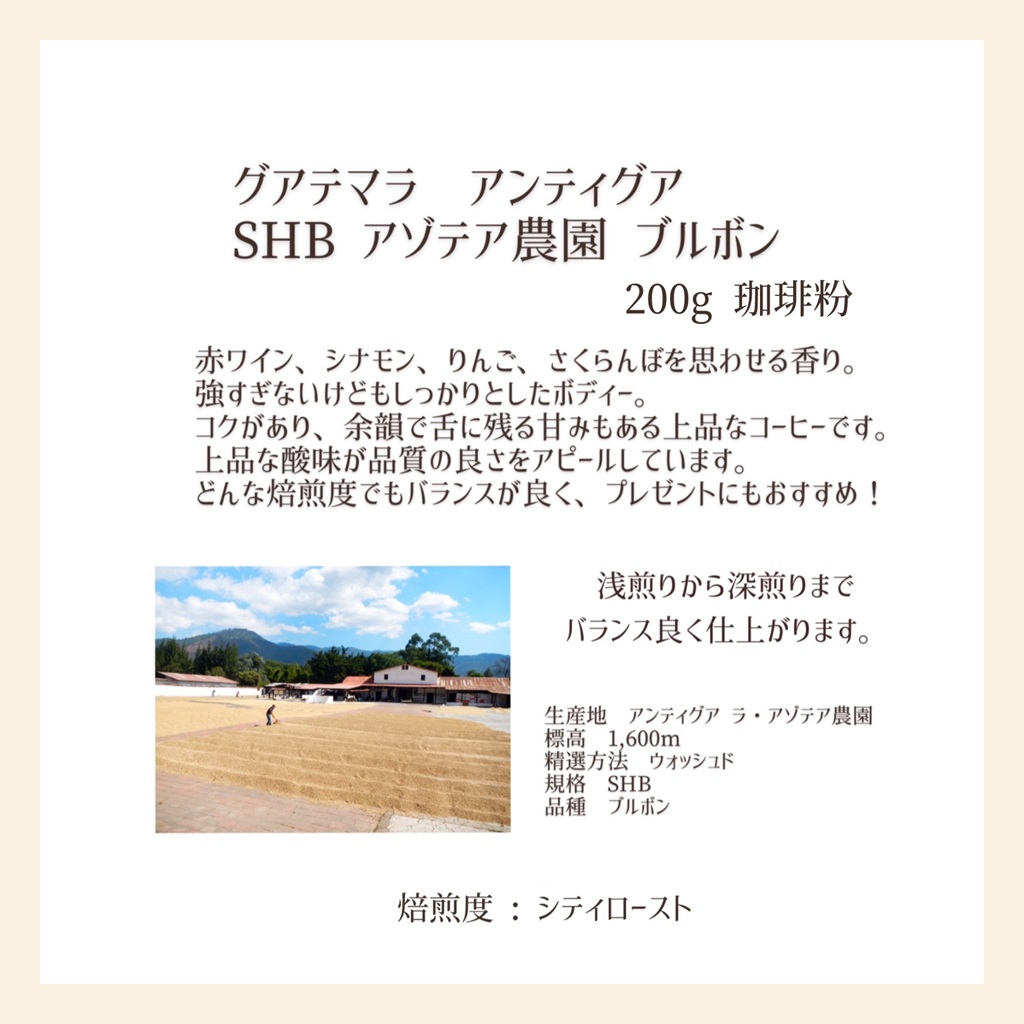 【上田珈琲豆焙煎堂】珈琲豆 中深煎り セット 200g×2種 セット ブラジルブルボン・グアテマラSHB【粉】 HNNBM008