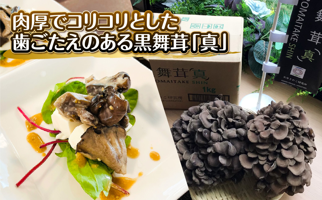 é»èèžãçã 1kg ãã®ã ãã€ã¿ã± HNNAW001