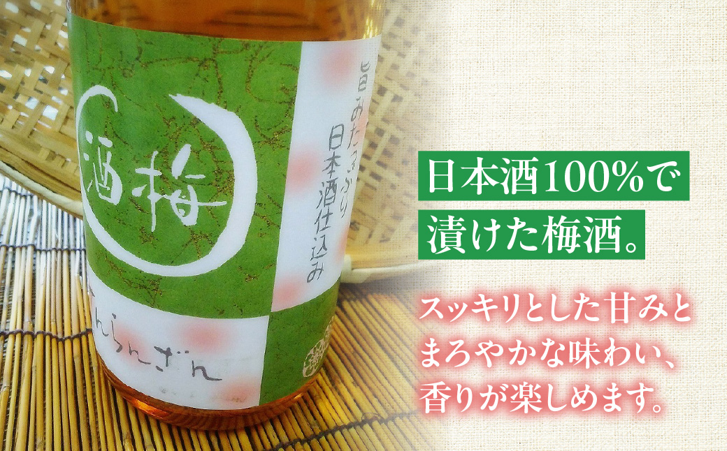 天覧山 日本酒で仕込んだ「梅酒」 1.8L お酒 洋酒 リキュール HNNBG001