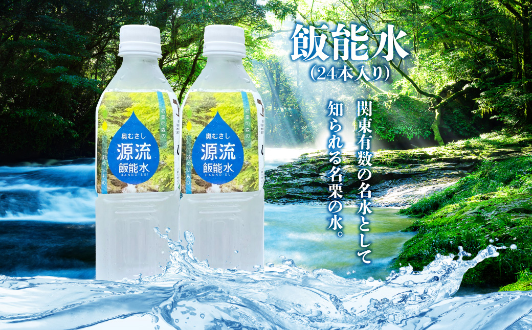 飯能水(24本入り) 飲料類 ミネラルウォーター 飲料  HNNAK001