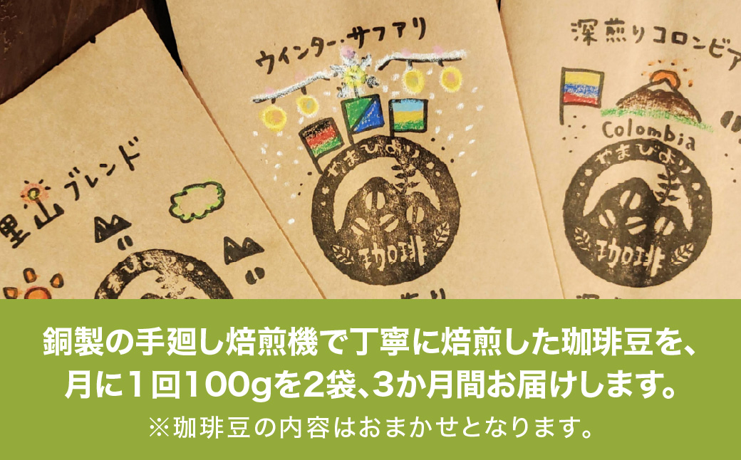 【定期便】【豆のまま】やまびより珈琲【珈琲豆100g 2袋×3か月分】 飲み比べ 2種類  HNNAF008