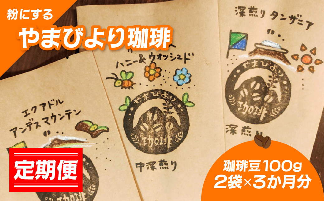 【定期便】【粉にする】やまびより珈琲【珈琲豆100g 2袋×3か月分】 飲み比べ 2種類  HNNAF009