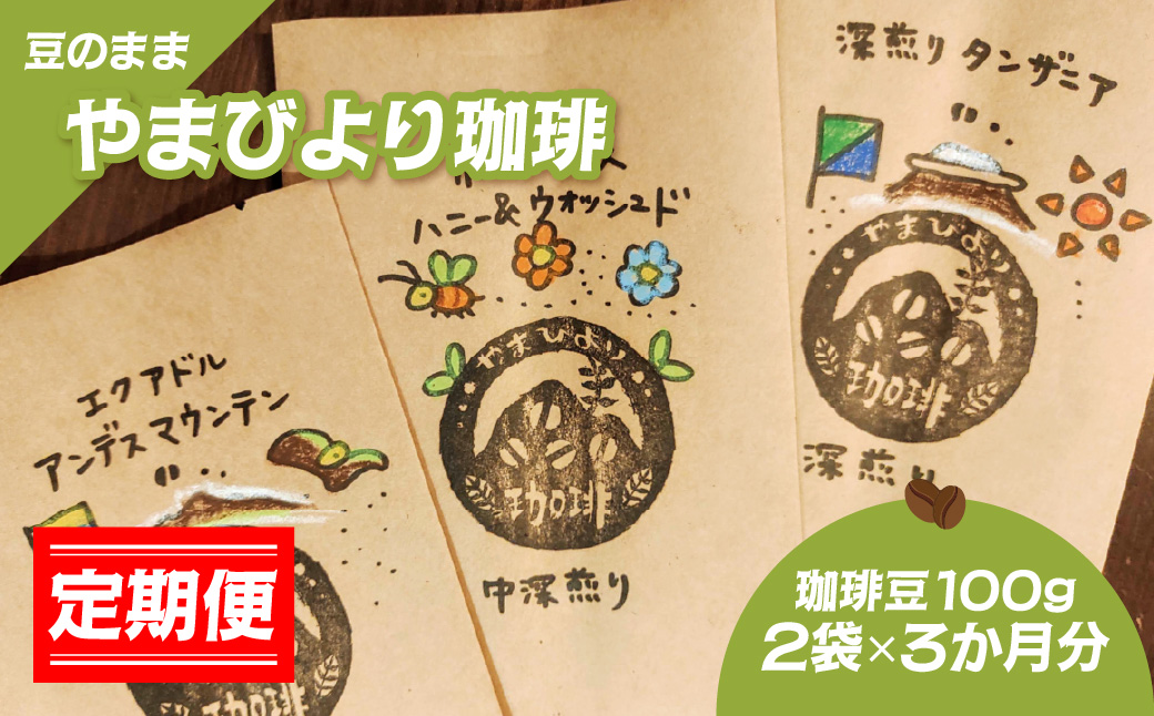 【定期便】【豆のまま】やまびより珈琲【珈琲豆100g 2袋×3か月分】 飲み比べ 2種類  HNNAF008