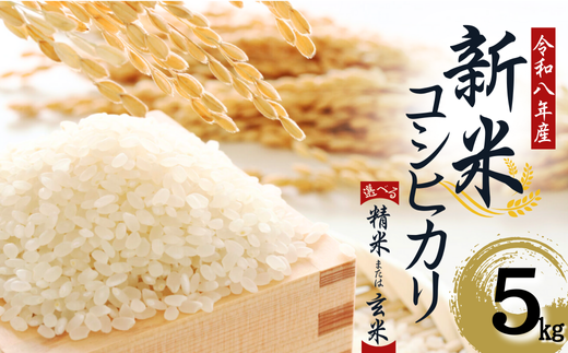 【令和８年産】先行予約受付中！　水野農園の加須市北川辺産　コシヒカリ　5kg　《選べる！精米or玄米》｜お米　米　令和８年　こしひかり