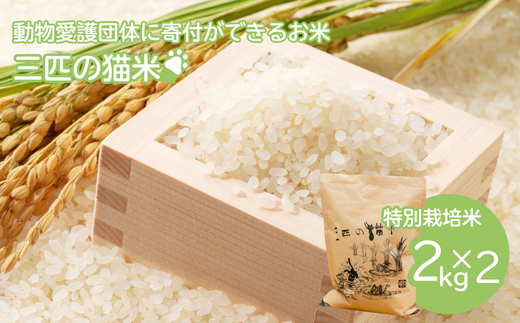 三匹の猫米/動物保護に携われる/特別栽培米2kg×2