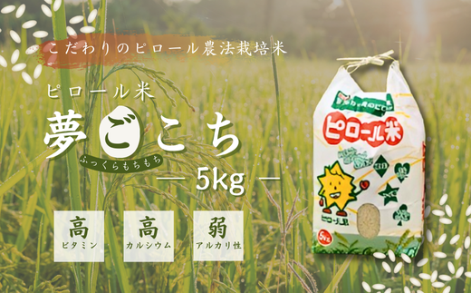 【令和7年産】こだわりのピロール農法栽培米　ピロール米　夢ごこち5kg （精米or玄米）〈数量限定〉