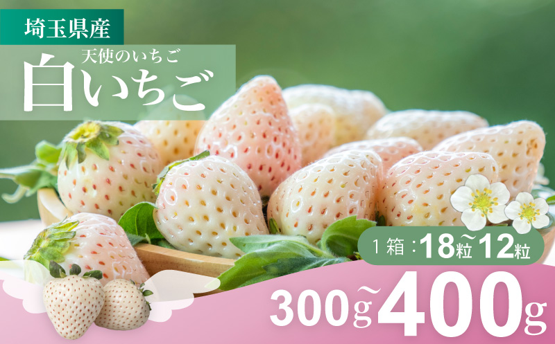 発送1月〜【先行受付】天使のいちご　300〜400ｇ　白いちご　【苺】 イチゴ おおきい スイーツ 白い 果物 ふるさと納税 いちご うまい フルーツ 期間限定 人気いちご まるい 甘い いちご 旬 直送 おすすめいちご ストロベリー 苺ジャム いちご 好きのための いちご