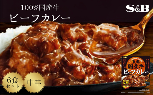 「S&B」国産牛ビーフカレー（中辛）170g×6個