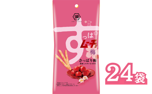 《湖池屋》スリムバッグ スティックポテト『すっぱムーチョ さっぱり梅』　34g×24袋　 【ポテトチップス】 ﾎﾟﾃﾁ スナック菓子 さっぱり梅 湖池屋 ｽﾅｯｸ お菓子 夏 爽快 リフレッシュ 遠足 旅行 ホームパーティ 差し入れ 部活 持ち運び 便利 おやつ おつまみ
