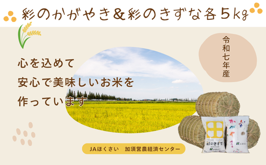 【令和7年産】加須市産　彩のかがやき・彩のきずな　精米10kg（各5 kg）