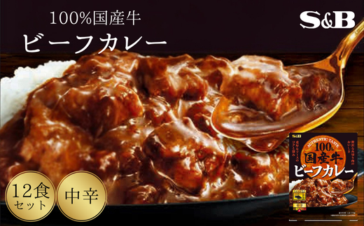 「S&B」国産牛ビーフカレー（中辛）170g×12個