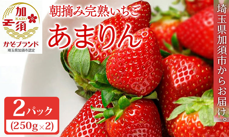 【先行受付】「埼玉農業大賞特別賞」を受賞！ 完熟朝摘み あまりん　250g×2　(8粒〜15粒)　【苺】 イチゴ おおきい スイーツ あかい 果物 ふるさと納税 いちご うまい フルーツ 期間限定 人気いちご 甘い いちご 旬 直送 おすすめいちご ストロベリー 苺ジャム いちご 好きのための いちご