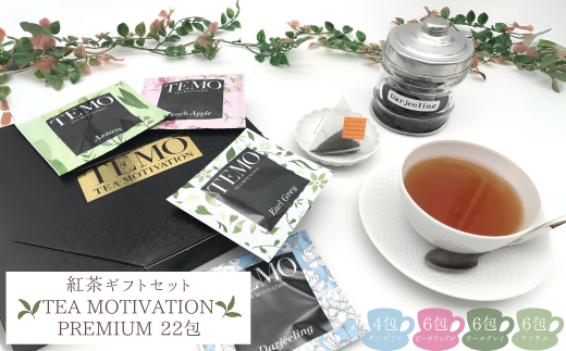 TEA MOTIVATION PREMIUM 4種 22包