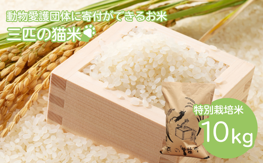 三匹の猫米/動物保護に携われる/特別栽培米10kg