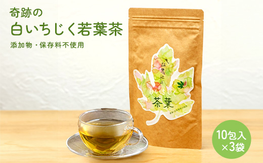 白いちじく茶（3袋）/農薬・化学肥料不使用/ファーストフラッシュ