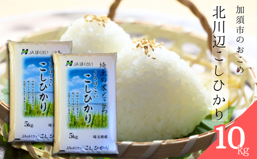 【令和7年産】北川辺こしひかり　精米10kg